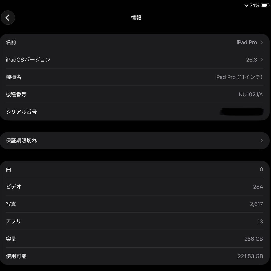 iPad Pro 11 第1世代 スペースグレー 256GB wifi+セルラー