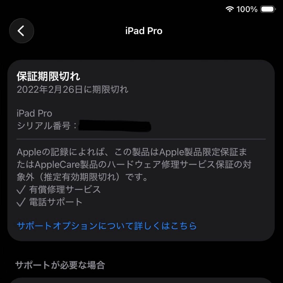 iPad Pro 11 第1世代 スペースグレー 256GB wifi+セルラー