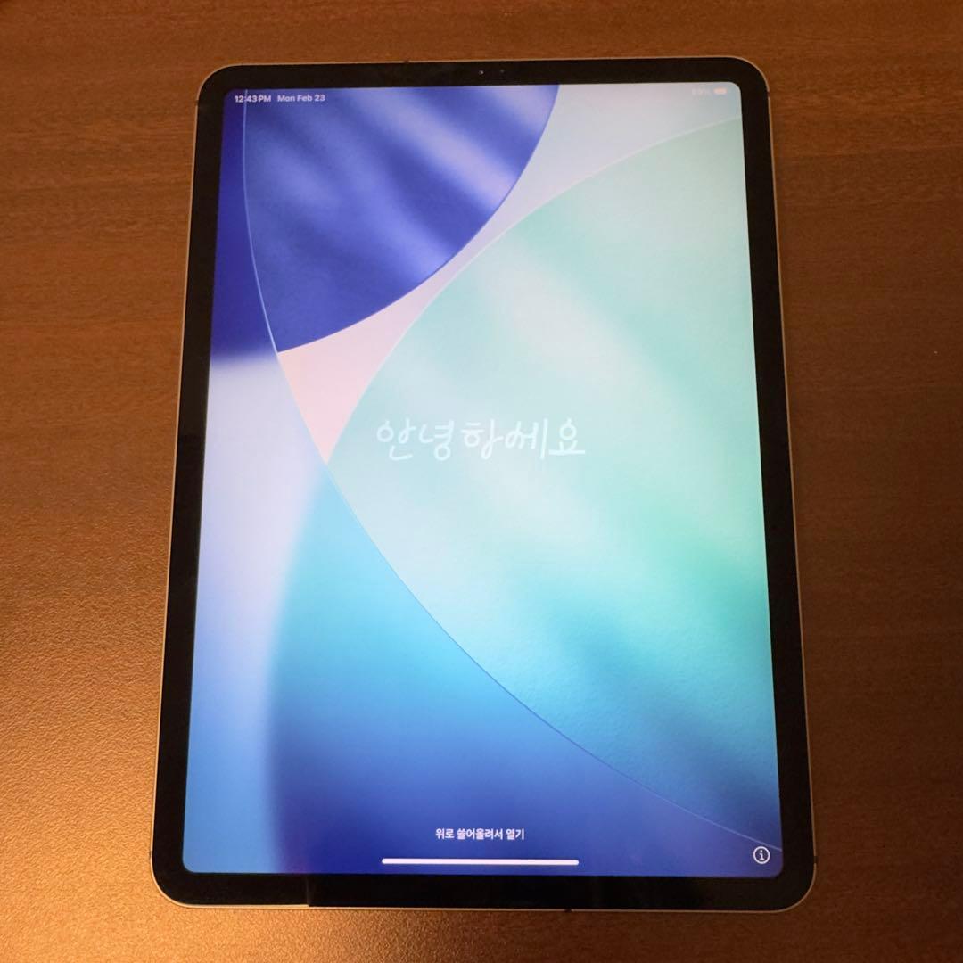 iPad Pro 11 第1世代 スペースグレー 256GB wifi+セルラー