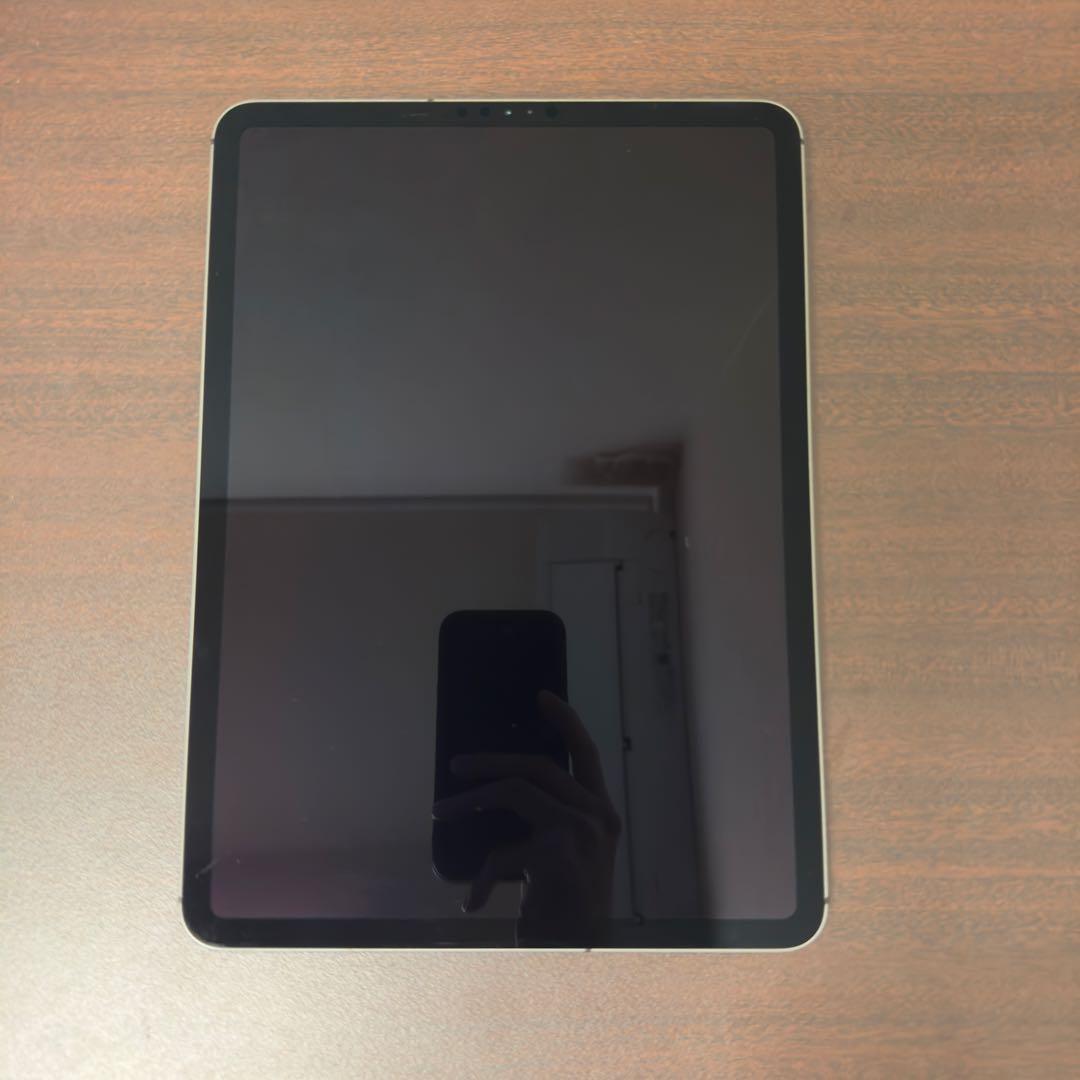 iPad Pro 11 第1世代 スペースグレー 256GB wifi+セルラー