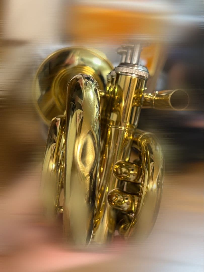 ポケット トランペット本体 ケース付き used