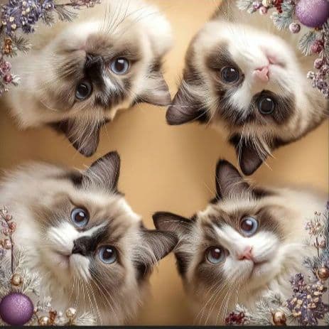 オーダー用猫ちゃんパネルサンプルページ　五