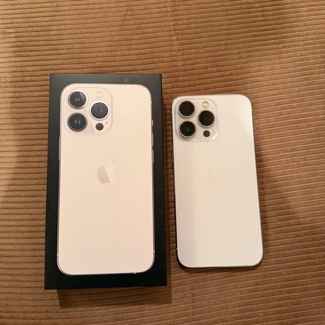 iPhone 13 Pro シルバー 1TB