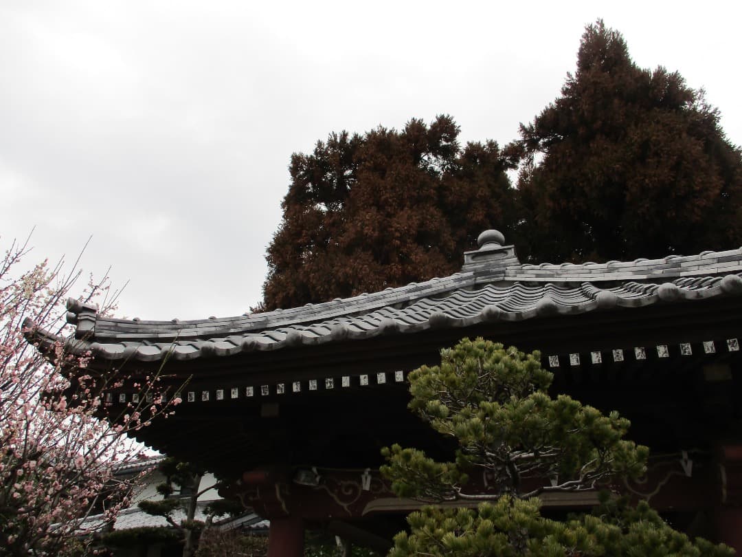 追加あり⭕️美品【動作確認済】Canon IXY 200 PC2333 デジカメ