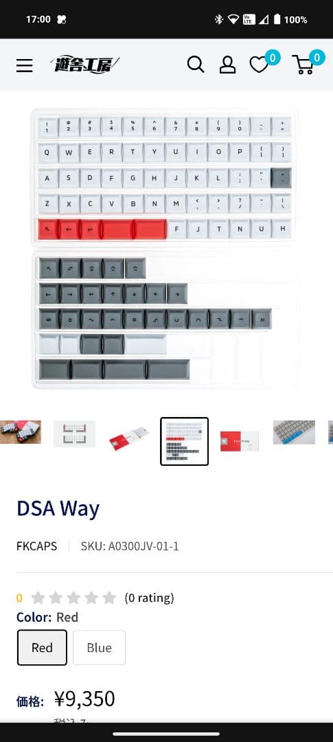 corne v4.1 分割キーボード　おまけ付き