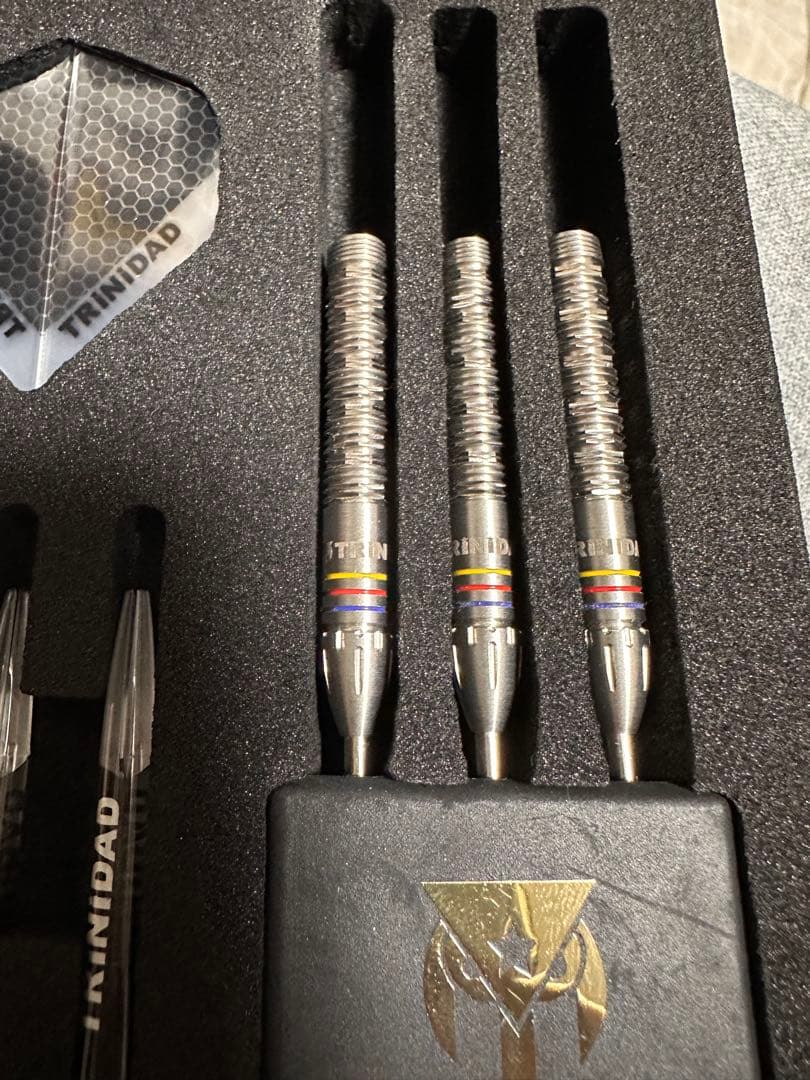 ダーツ　トリニダード　レイモンド　スティール