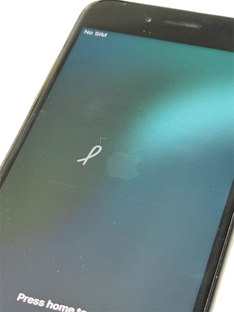 Apple iPhone SE (第2世代) ブラック 箱付き ジャンク品