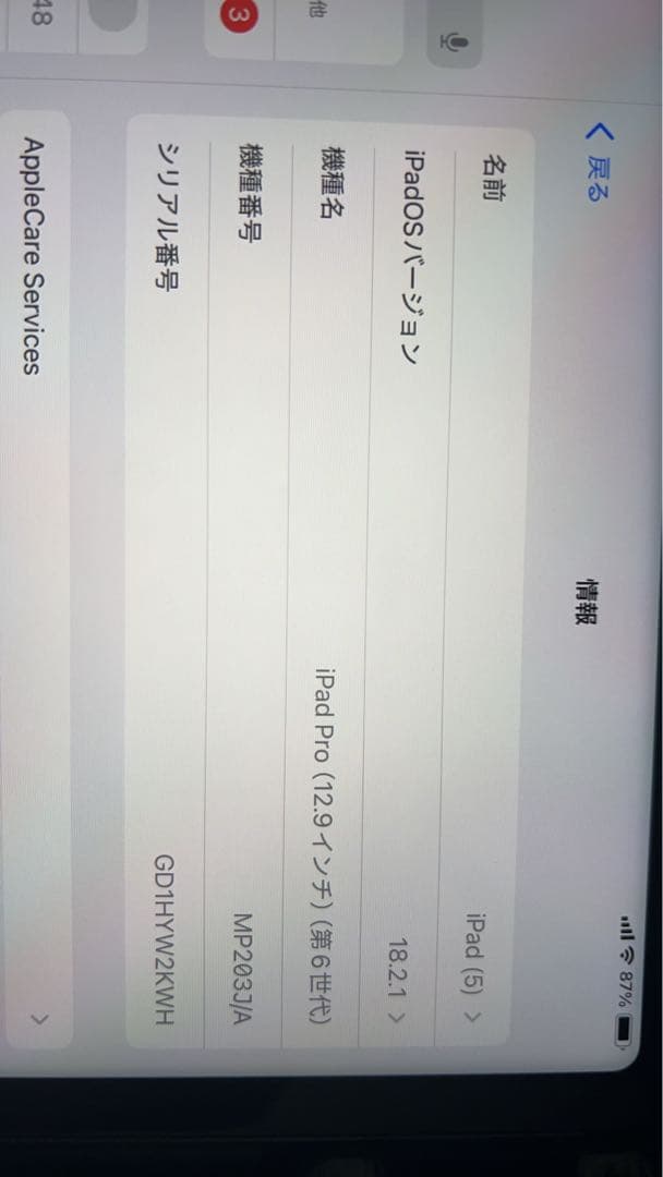 Apple iPad Pro (12.9インチ, 第6世代)スペースグレー 本体