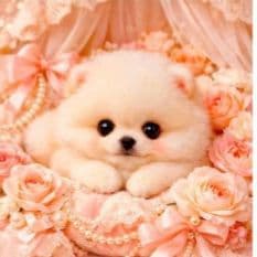 ピーチ様おまとめ13