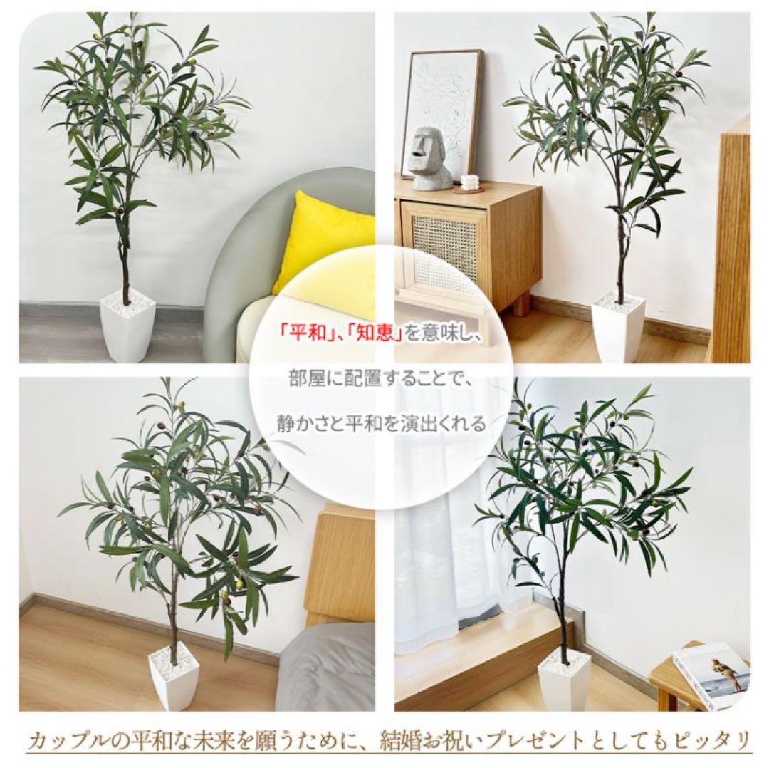 オリーブ フェイクグリーン 135cm