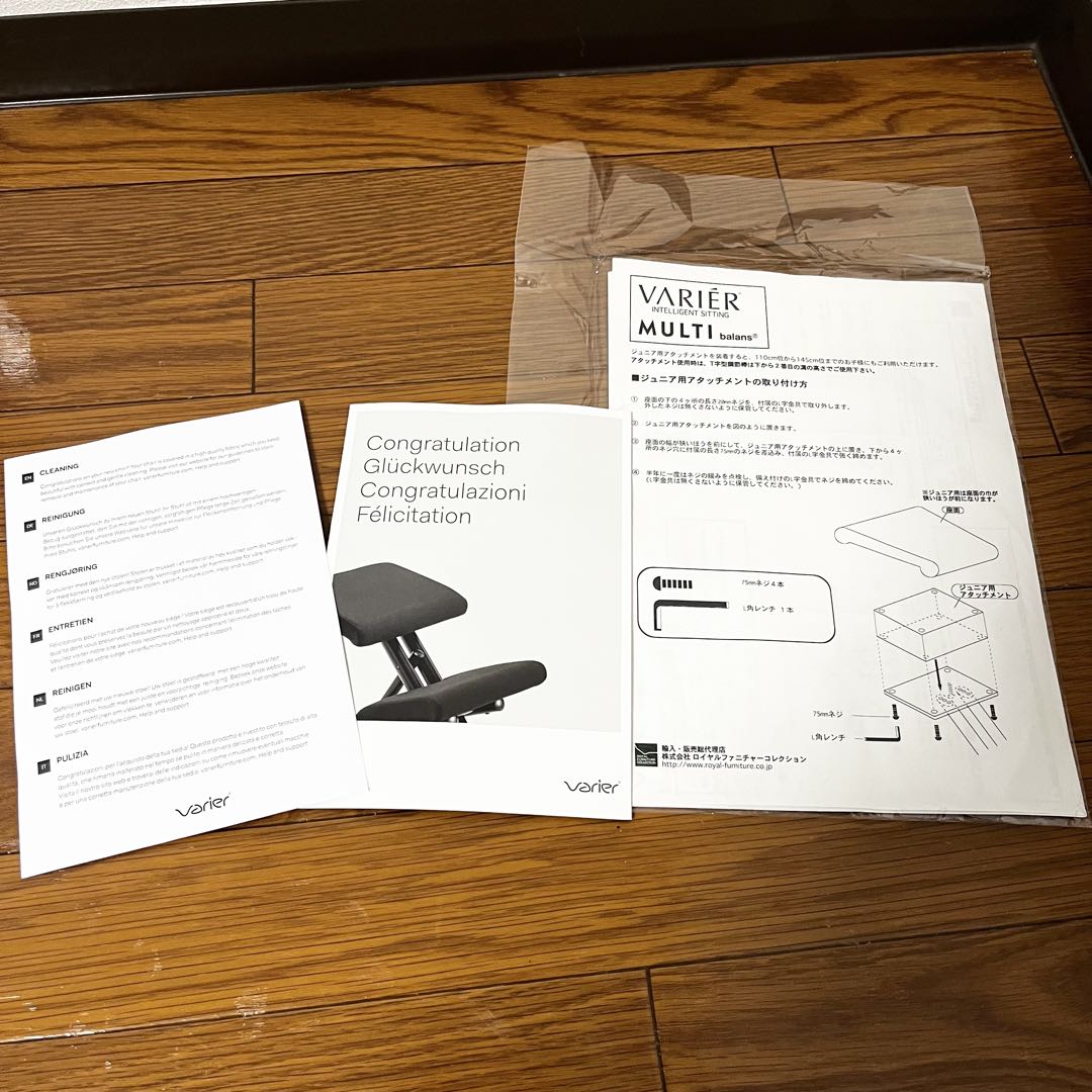 【現行ロゴ／美品】Varier MULTI balansブラック バランスチェア