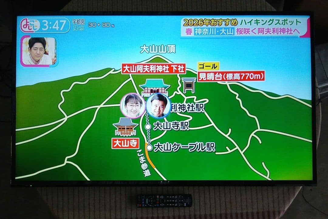 49インチ液晶テレビ Panasonic TH-49E300HT【スタンド無】⑲