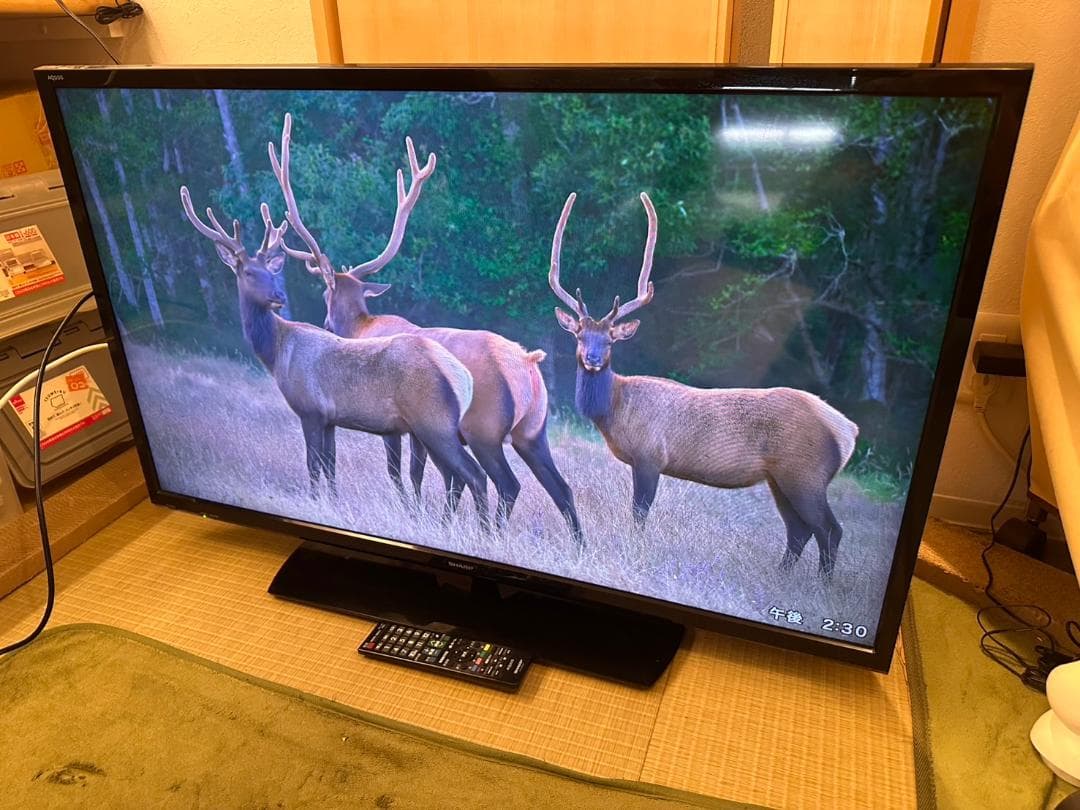 SHARP シャープ　40型　テレビ 2T-C40AE1 18年製　映り綺麗！
