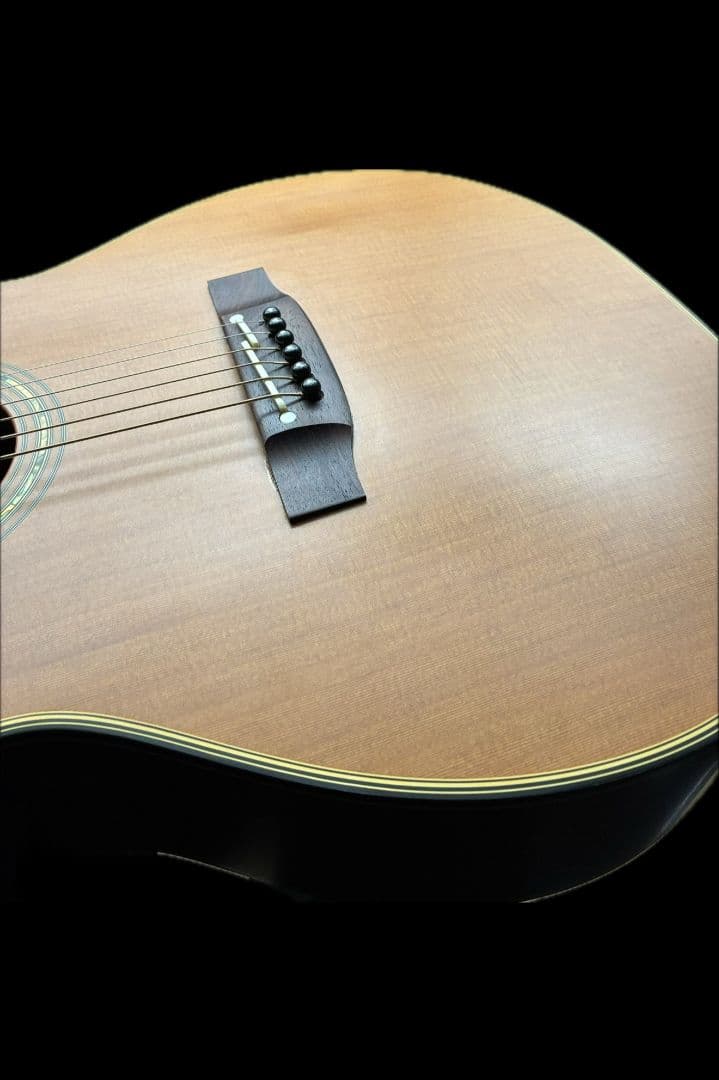 長渕剛 夏祭り＆母校熱唱 Takamine ギターNPT-05N PTU搭載!!