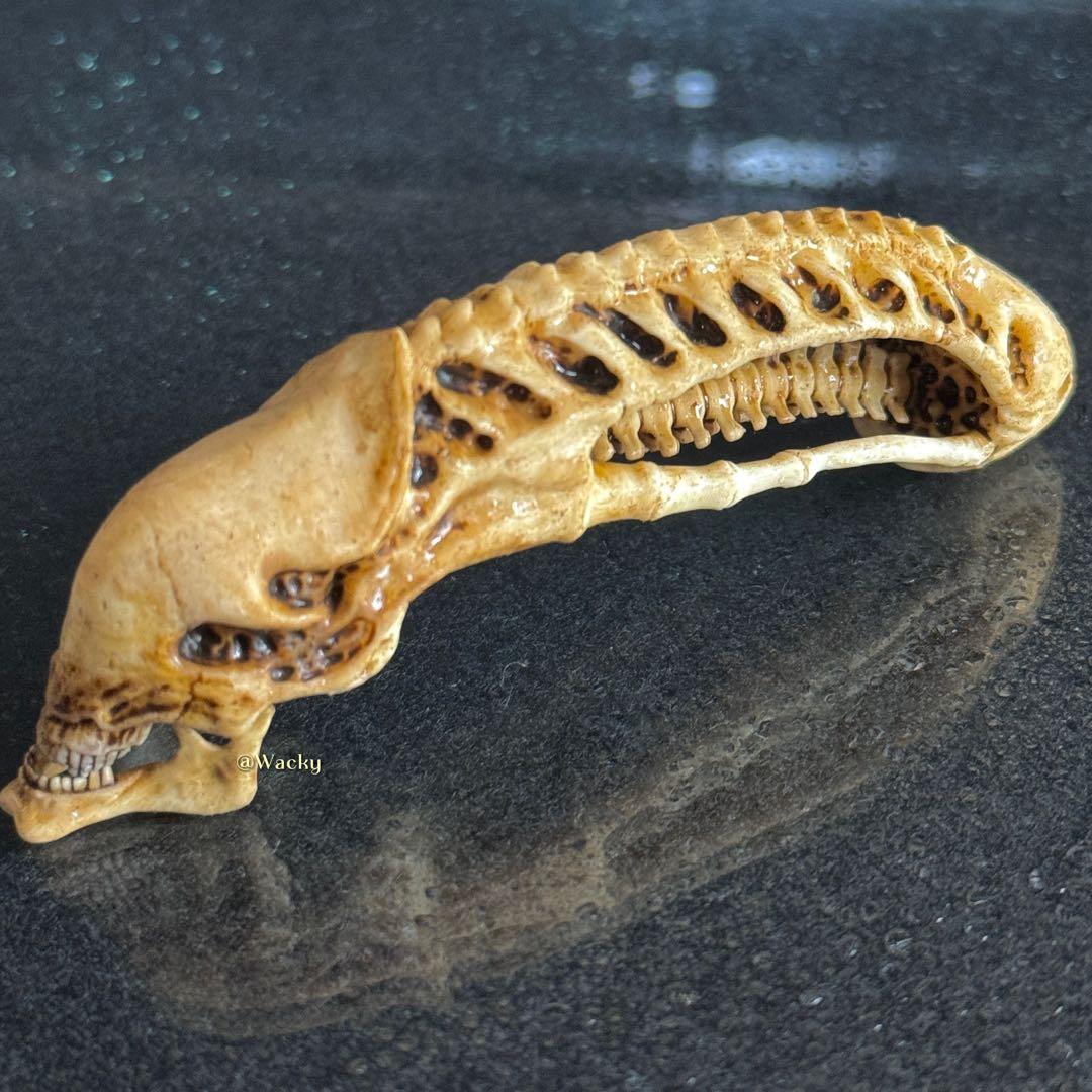 【禁断の戦利品】超精巧 エイリアン・スカル 10cmモデル