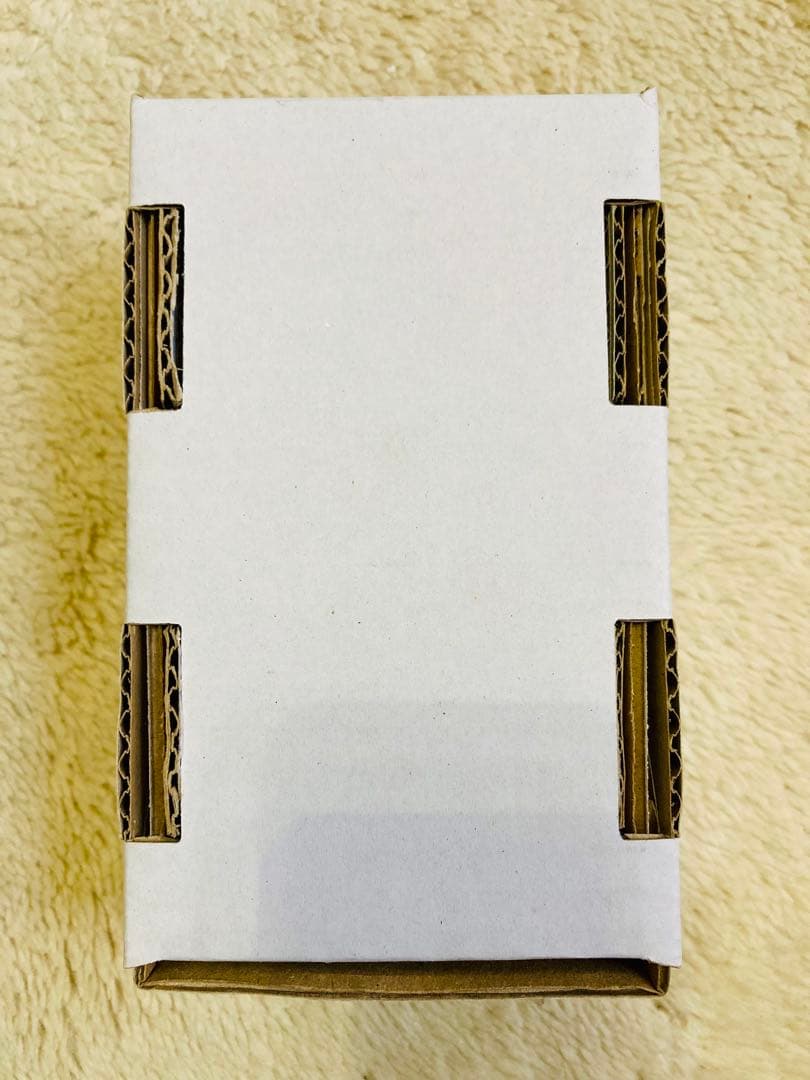 【使用1回】Verbos Electronics Amp & Tone 2020