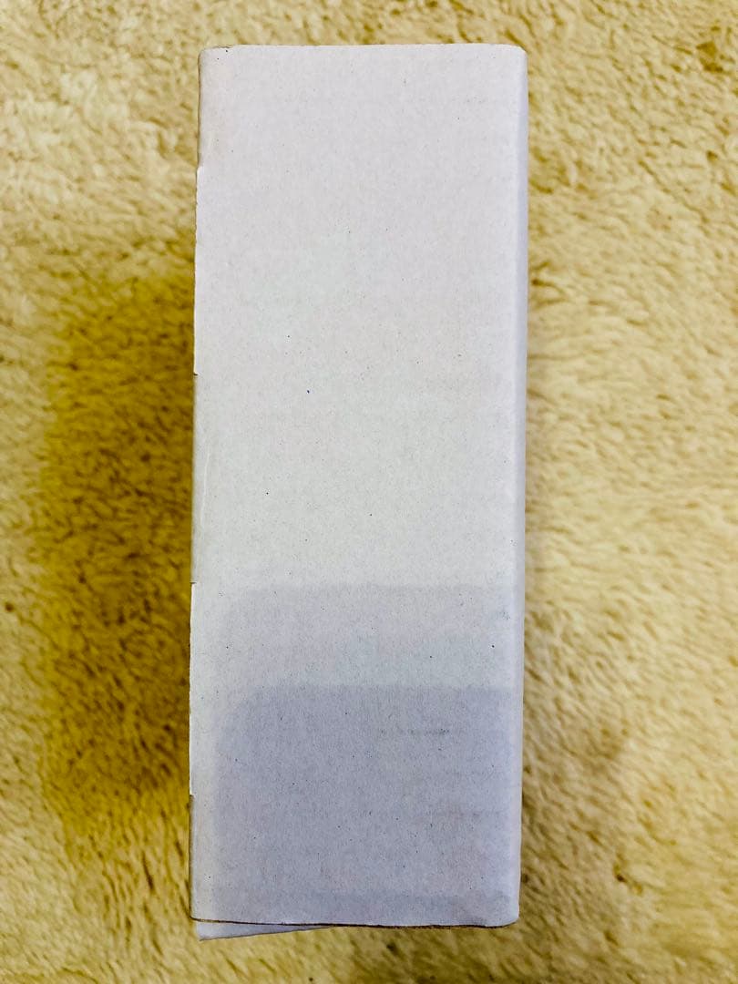 【使用1回】Verbos Electronics Amp & Tone 2020