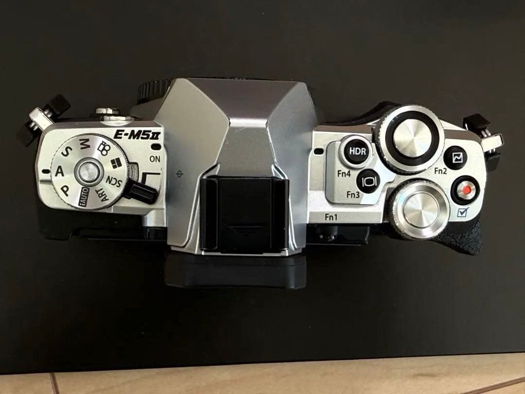 デジタルカメラ OLYMPUS OM-D E-M5 Mark II + 12-40mm F2.8