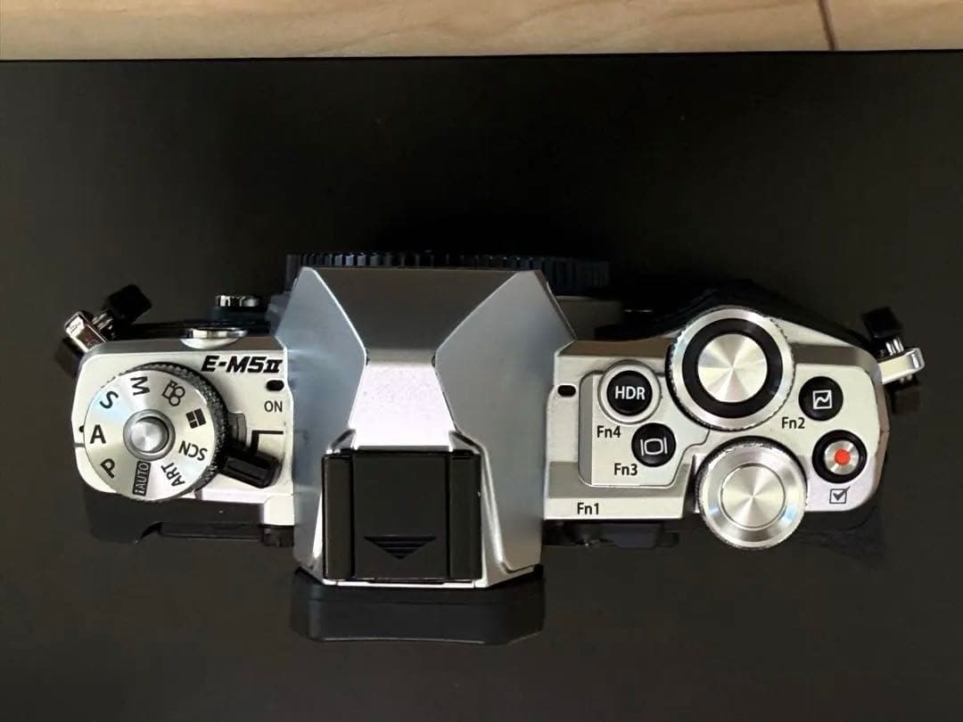 デジタルカメラ OLYMPUS OM-D E-M5 Mark II + 12-40mm F2.8