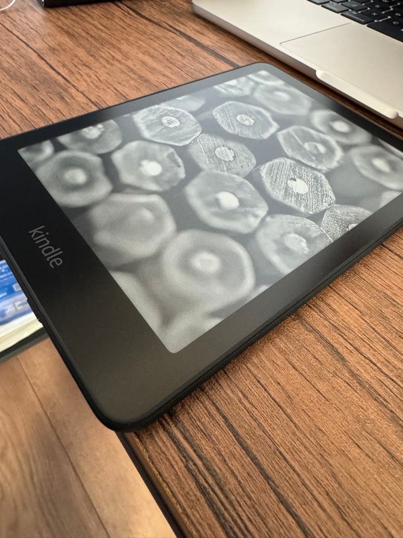 【美品】Kindle Paperwhite 第12世代 レザーケース付き