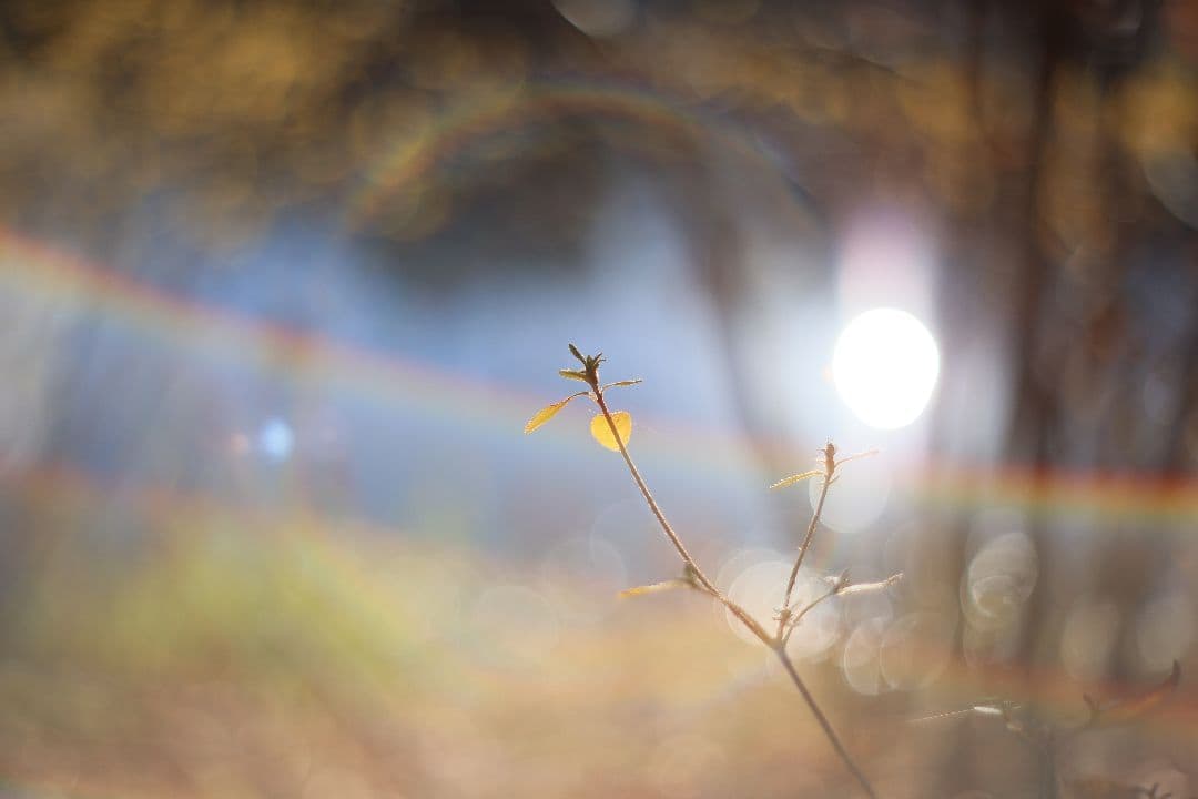 Super-Takumar 55mm F1.8 初期型 S/N：842127