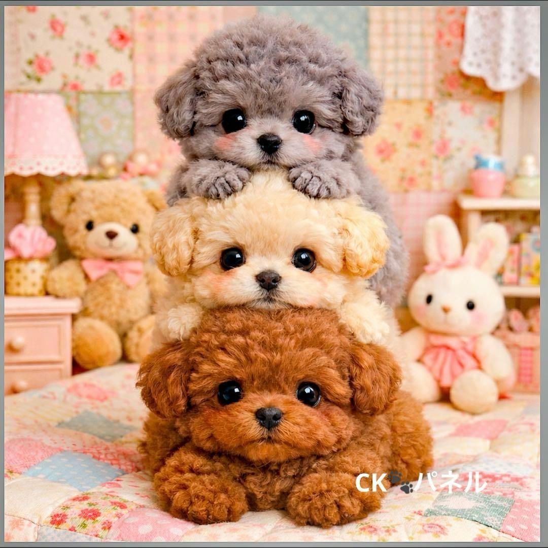 激レア柴犬、トイプー、ポメラニアン、パグ、ダックス、チワワパネル生地