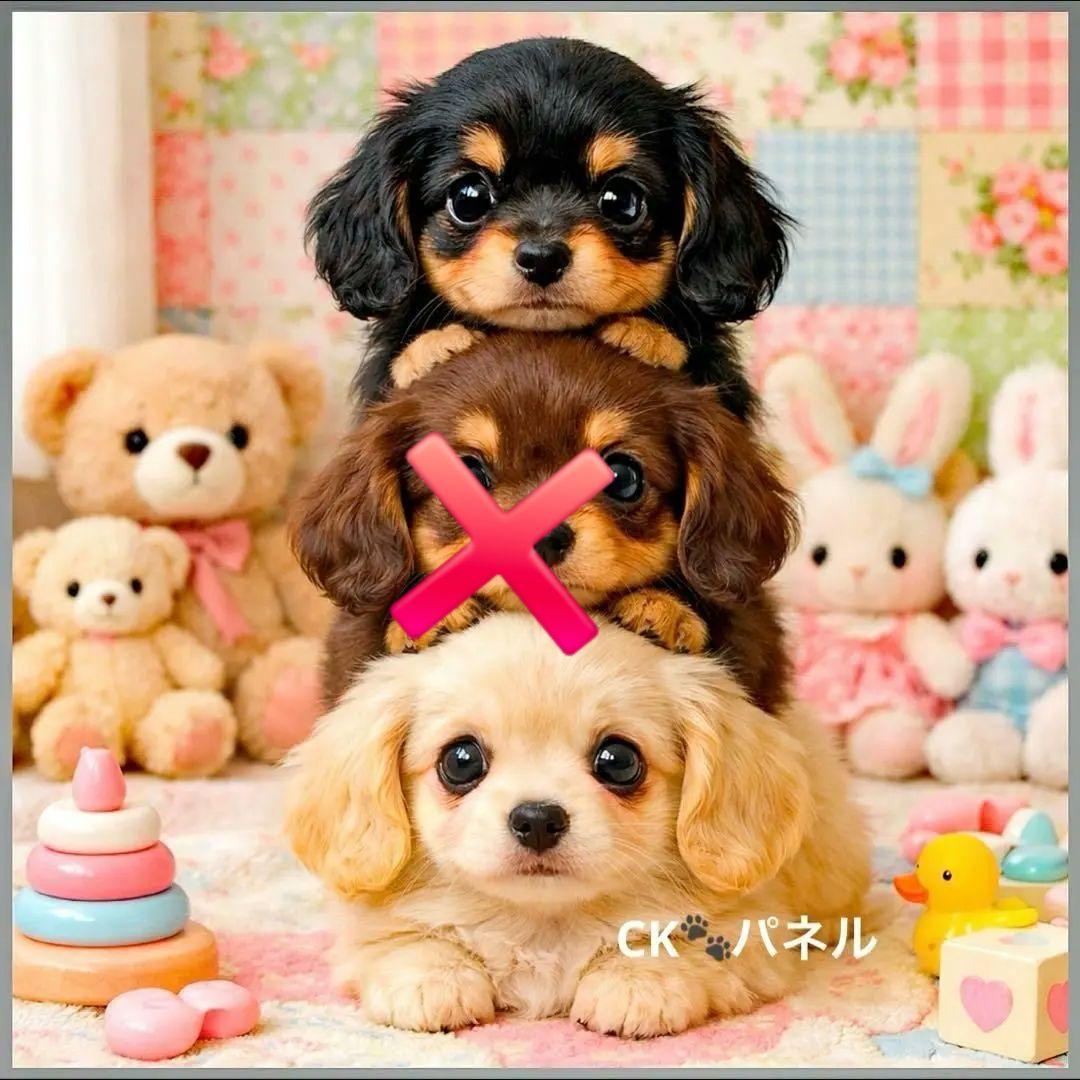 激レア柴犬、トイプー、ポメラニアン、パグ、ダックス、チワワパネル生地