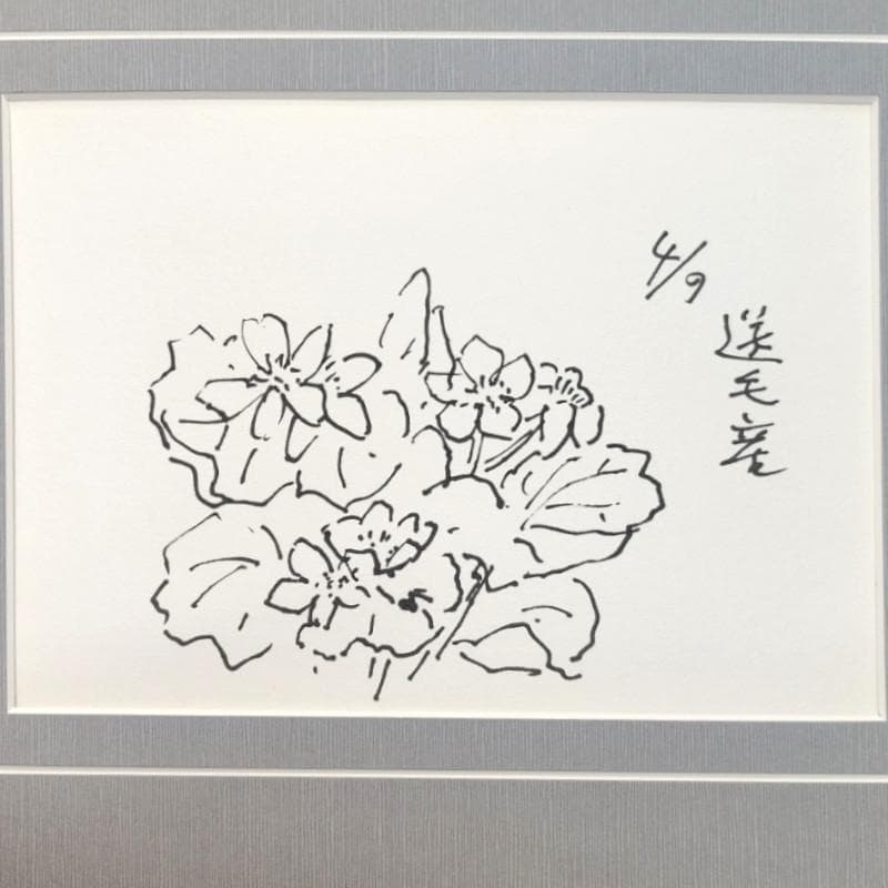 ☆坂本直行☆「 送毛産　エゾノリユウキンカ 」ペン画　太子サイズ　未使用!