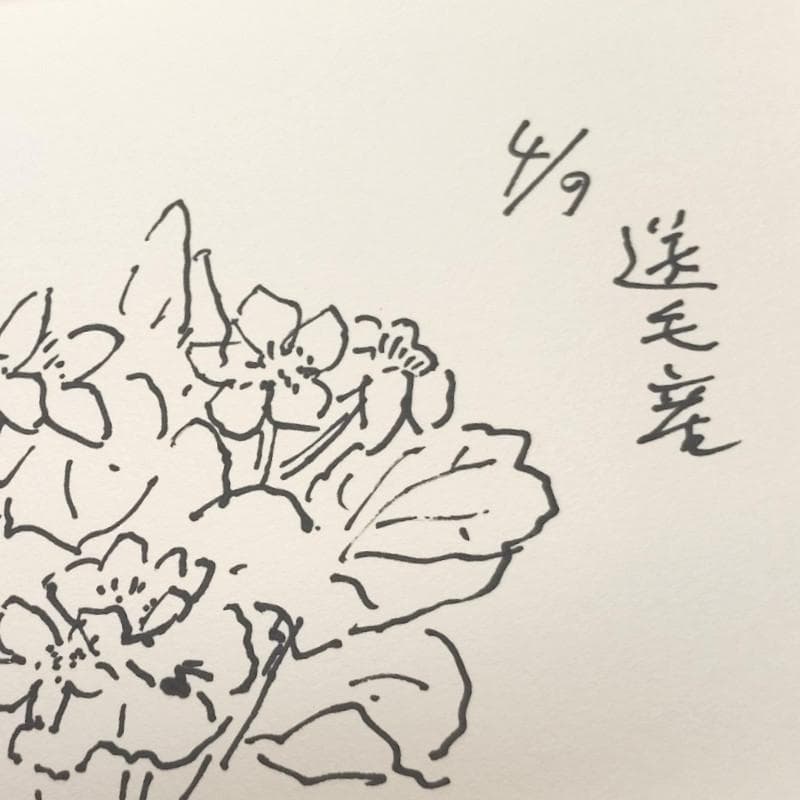 ☆坂本直行☆「 送毛産　エゾノリユウキンカ 」ペン画　太子サイズ　未使用!