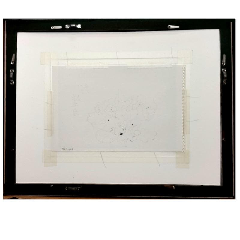 ☆坂本直行☆「 送毛産　エゾノリユウキンカ 」ペン画　太子サイズ　未使用!