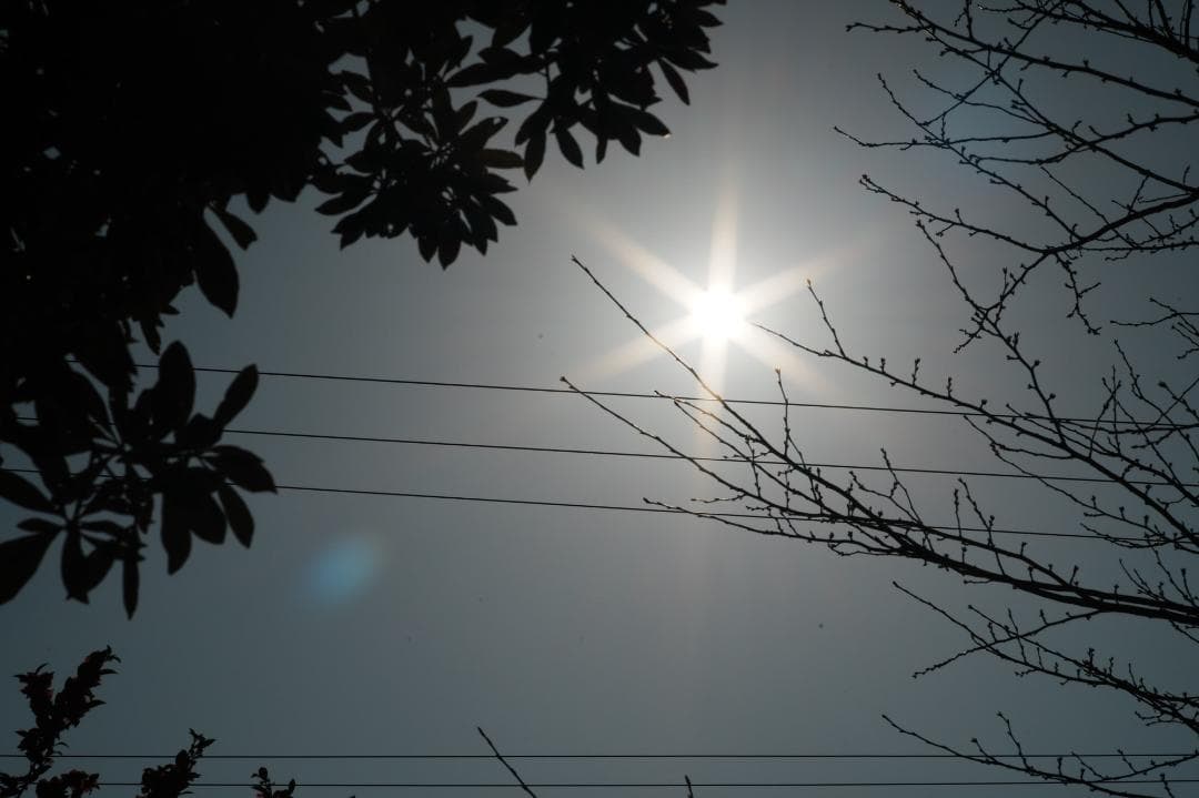 整＆テ Carl Zeiss Sonnar 85mm F2.8 AEG 802