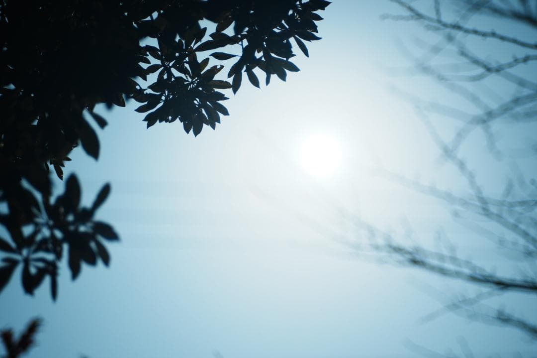 整＆テ Carl Zeiss Sonnar 85mm F2.8 AEG 802