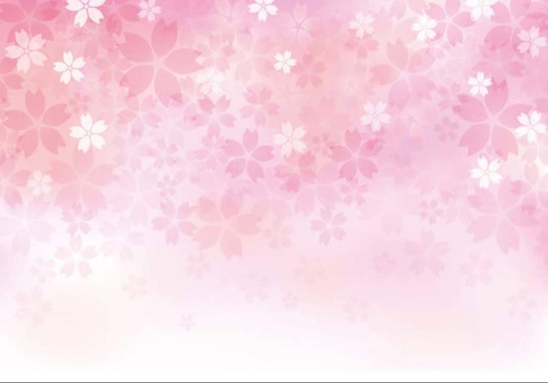 撮影背景紙用スタンドキットと背景紙８枚