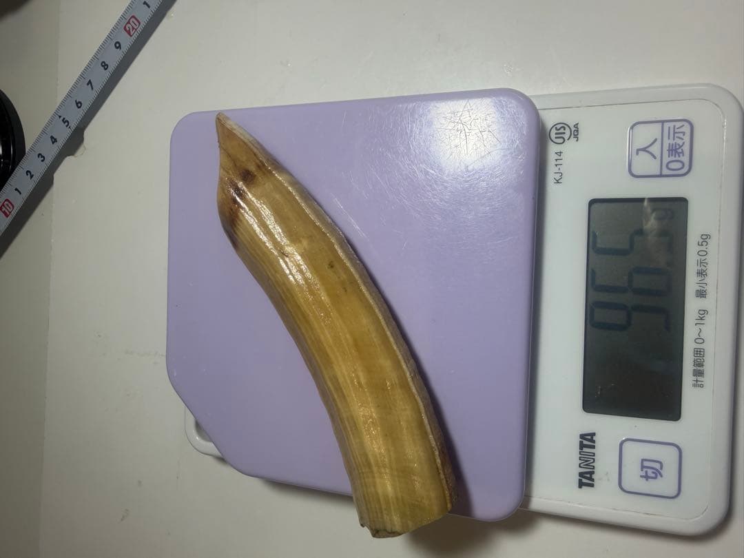 河馬歯　カバ牙　印材　彫刻材料　送料無料