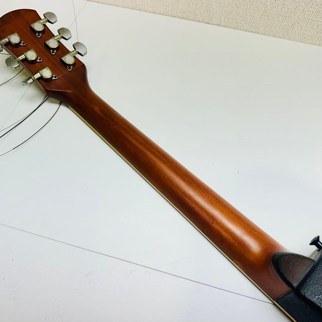 Pro Martin エレアコ