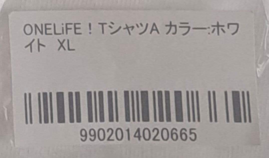iLiFE! 武道館 ONELiFE TシャツA