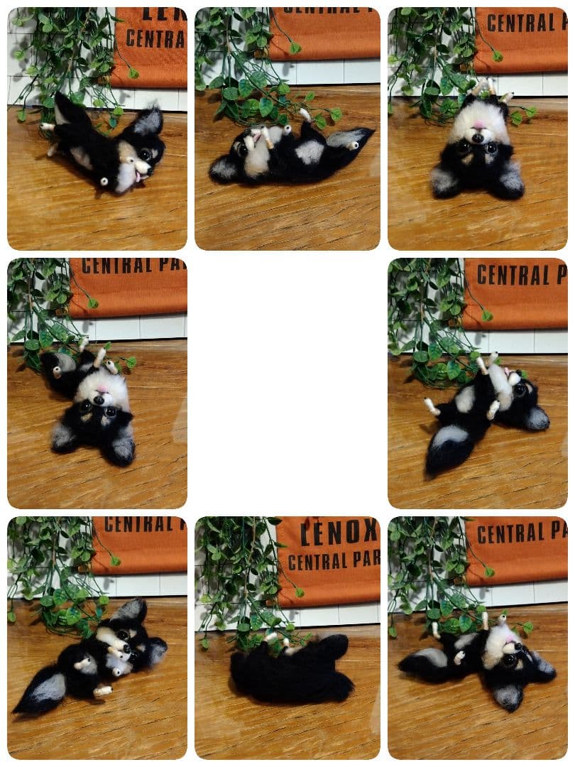 羊毛フェルト　チワワ 　ブラックタン