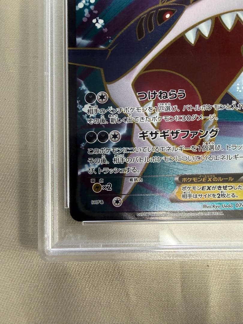 【世界195枚】 PSA10 サメハダーEX 2014 074