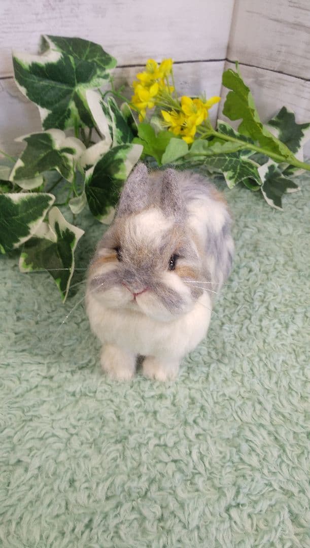 羊毛フェルト うさぎ ネザーランド・ドワーフ ハンドメイド ぽぽ