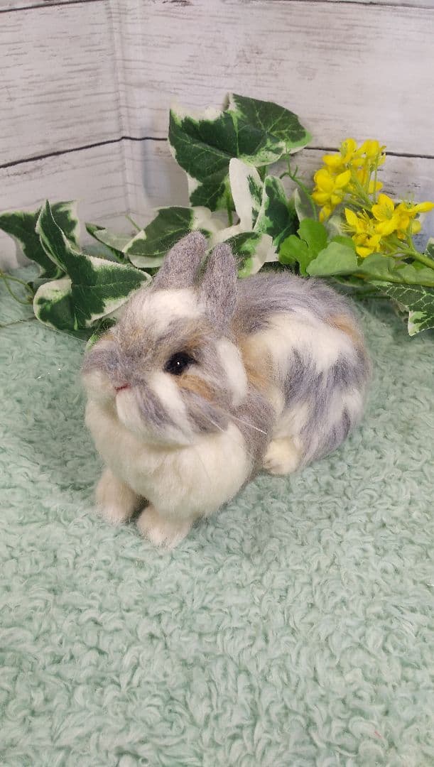 羊毛フェルト うさぎ ネザーランド・ドワーフ ハンドメイド ぽぽ