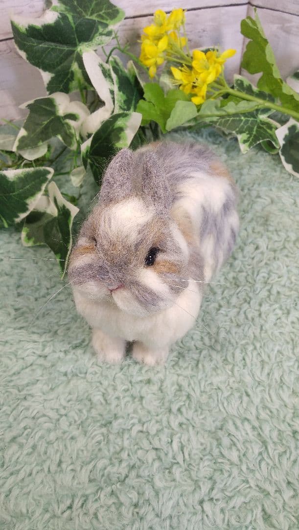 羊毛フェルト うさぎ ネザーランド・ドワーフ ハンドメイド ぽぽ