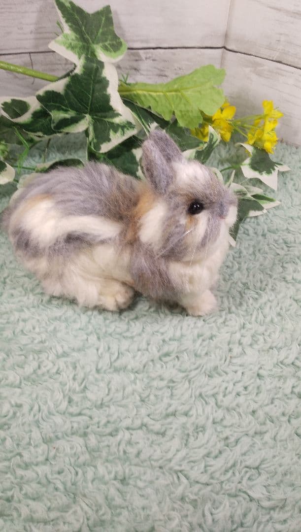 羊毛フェルト うさぎ ネザーランド・ドワーフ ハンドメイド ぽぽ