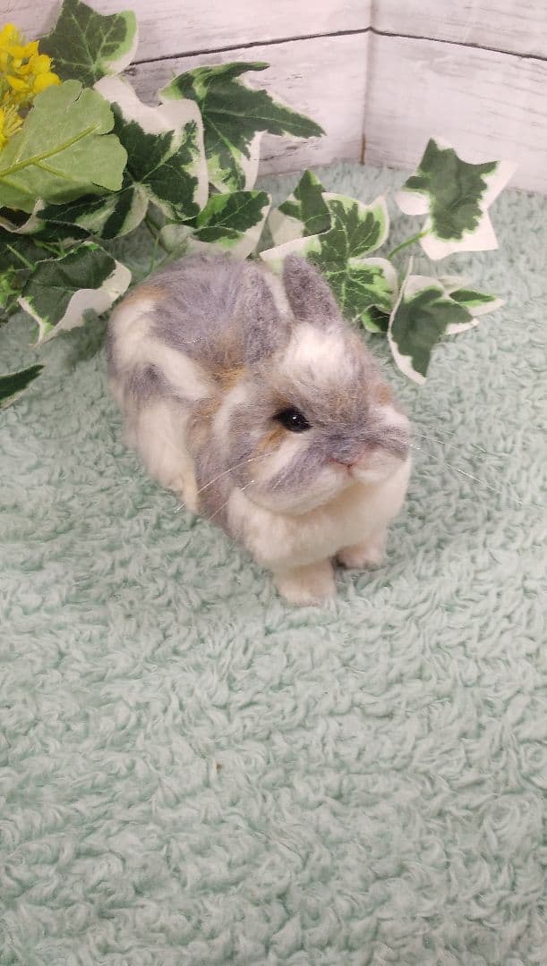 羊毛フェルト うさぎ ネザーランド・ドワーフ ハンドメイド ぽぽ