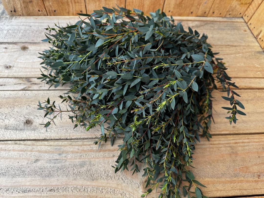 アチ様 リクエスト 2点 まとめ商品