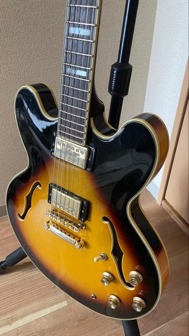 Epiphone Sheraton Ⅱ PRO 付属ソフトケース付き