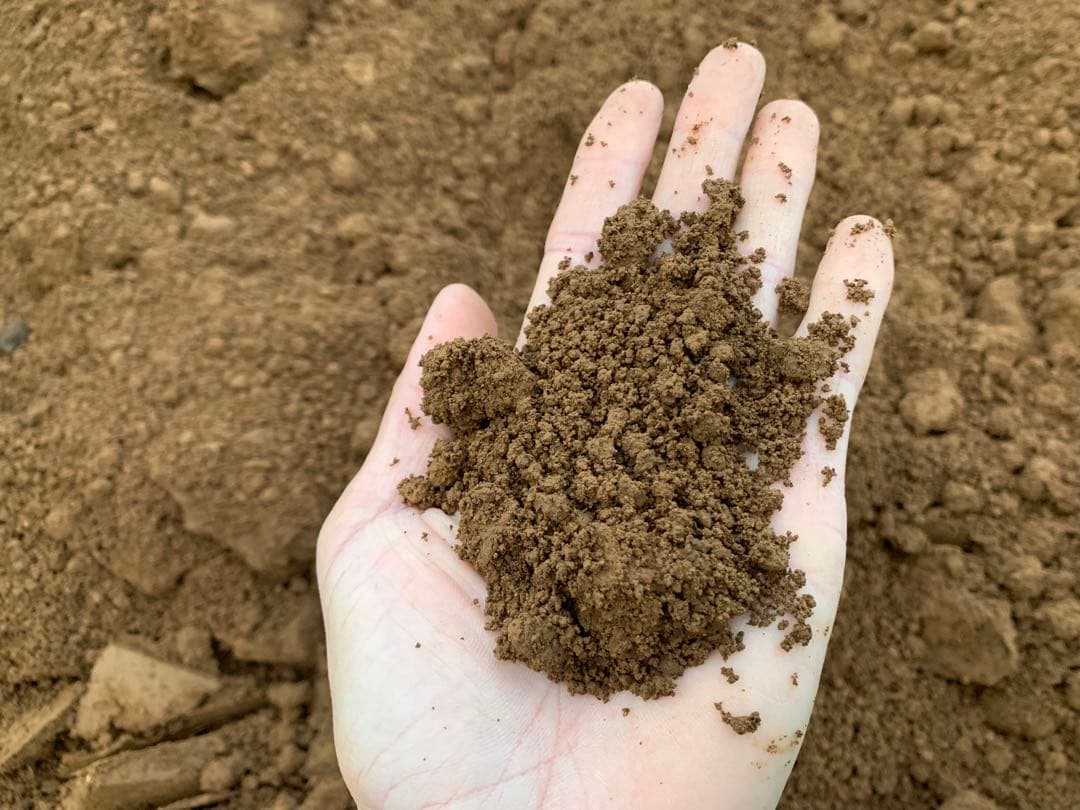 赤土　ガーデニング 植木家庭菜園　植栽　お花　畑　田んぼ　0.５〜　黒土　野菜