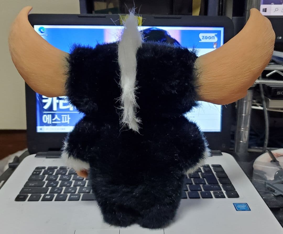 ギズモ、モホーク 2体セット