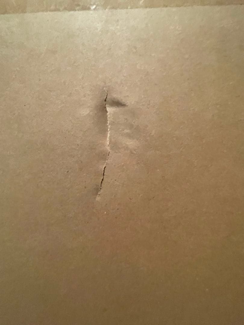 ウィンブレ　梶蓮　等身大パネル　梶蓮