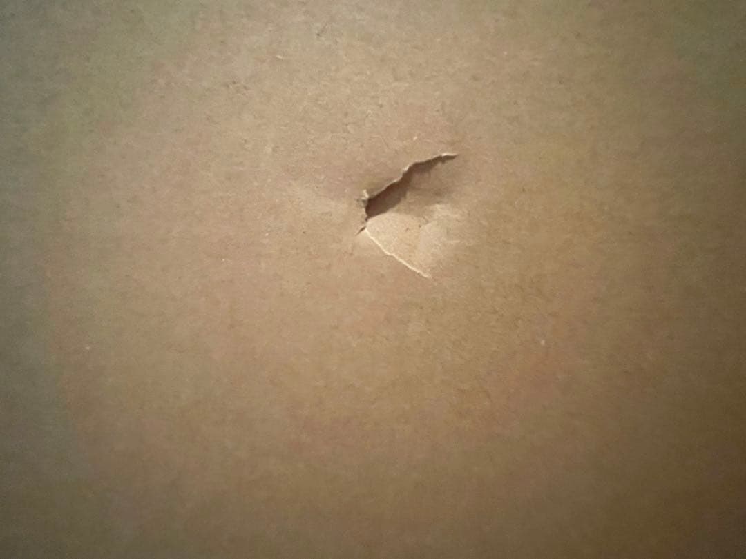 ウィンブレ　梶蓮　等身大パネル　梶蓮