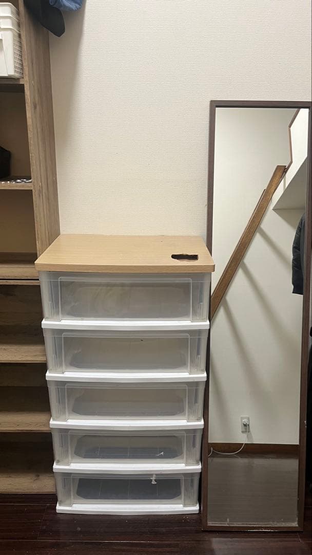 棚2個,鏡、服を入れるクローゼット